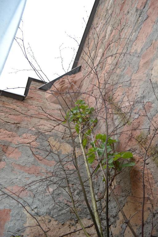 Landgasthof Hock Großostheim المظهر الخارجي الصورة